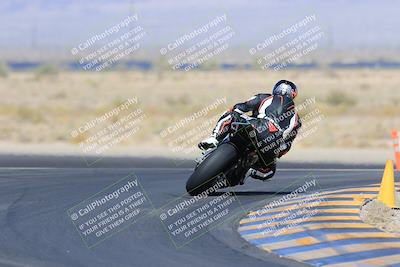 media/May-13-2023-SoCal Trackdays (Sat) [[8a473a8fd1]]/Turn 11 Backside (945am)/